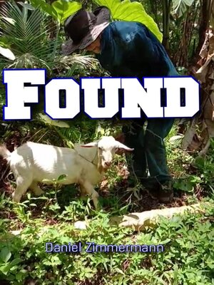 cover image of Found!